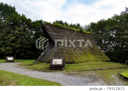 うつのみや遺跡の広場(竪穴式住居) うつのみや遺跡の広場(竪穴式住居) 79312621
