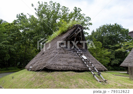 うつのみや遺跡の広場（竪穴式住居) 79312622