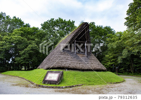 うつのみや遺跡の広場 うつのみや遺跡の広場 79312635