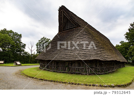 うつのみや遺跡の広場(長方形大型建物) うつのみや遺跡の広場(長方形大型建物) 79312645