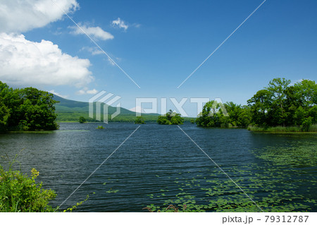 夏の大沼公園風景 夏の大沼公園風景 79312787