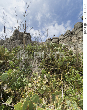 台湾澎湖・虎井嶼 柱状玄武岩 / Columnar Basalt, Hujing, Taiwan 79312798