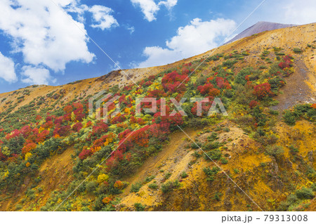 紅葉の吾妻山山麓 紅葉の吾妻山山麓 79313008