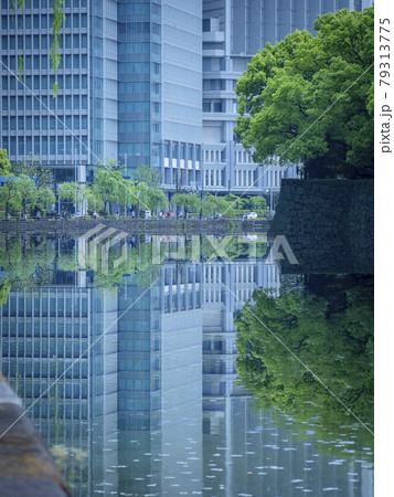 皇居東御苑の竹橋から見る大手町オフィスビル群 79313775