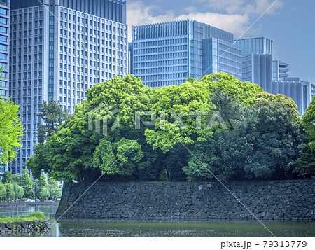 皇居東御苑の竹橋から見る大手町オフィスビル群 79313779