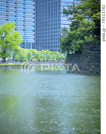 皇居東御苑の竹橋から見る大手町オフィスビル群 皇居東御苑の竹橋から見る大手町オフィスビル群 79313782