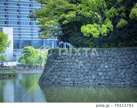 皇居東御苑の竹橋から見る大手町オフィスビル群 79313783