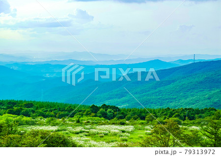 種山ヶ原 種山ヶ原 79313972