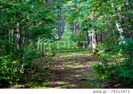 種山ヶ原 79313973