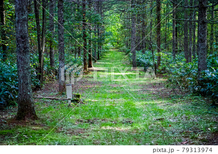 種山ヶ原 79313974