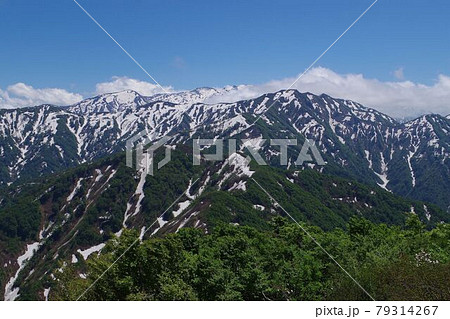 白鳥山より栂海新道を望む。 白鳥山より栂海新道を望む。 79314267