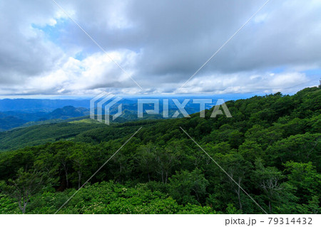 広大な森林 山並み 秋田県 広大な森林 山並み 秋田県 79314432
