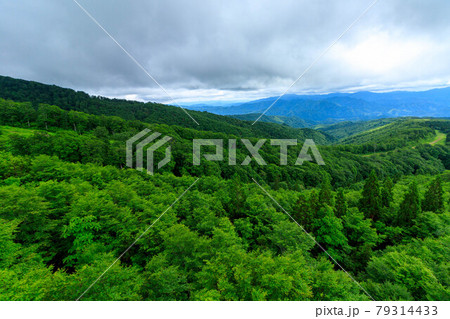 広大な森林 山並み 秋田県 広大な森林 山並み 秋田県 79314433