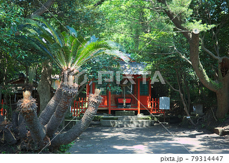 多賀神社境内 79314447