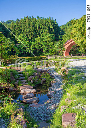 碓氷湖　坂本ダム　夢のせ橋　初夏の周辺景色　　　　　　 79314863