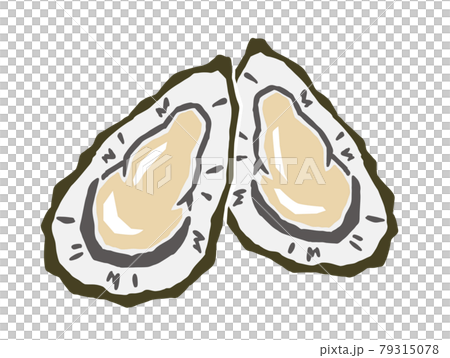 牡蠣　レトロなベクターイラスト 79315078