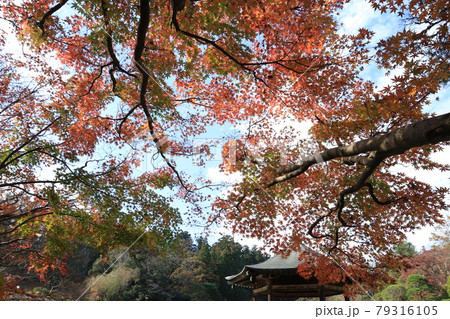 成田山新勝寺と成田山公園の紅葉の写真素材