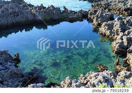 潮だまり（宮古島） 79316239