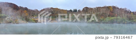 霧雨に煙る地獄沼の紅葉と湧き出す温泉のパノラマ情景@酸ヶ湯、青森 霧雨に煙る地獄沼の紅葉と湧き出す温泉のパノラマ情景@酸ヶ湯、青森 79316467