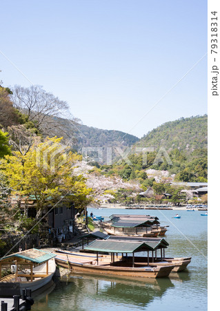 春の嵐山 79318314
