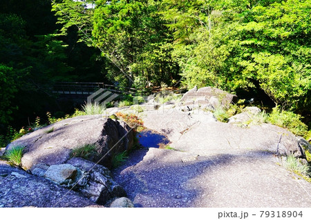 屋久島　白谷雲水峡　飛流橋近くの岩場 79318904