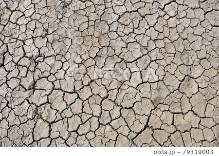 ground crack bacground crack background and texture.kground and texture. ground crack bacground crack background and texture.kground and texture. 79319003