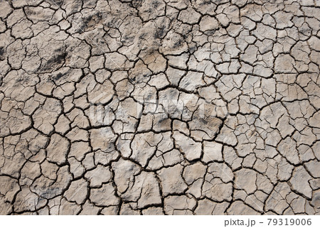 ground crack bacground crack background and texture.kground and texture. 79319006