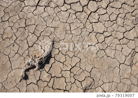 ground crack bacground crack background and texture.kground and texture. 79319007