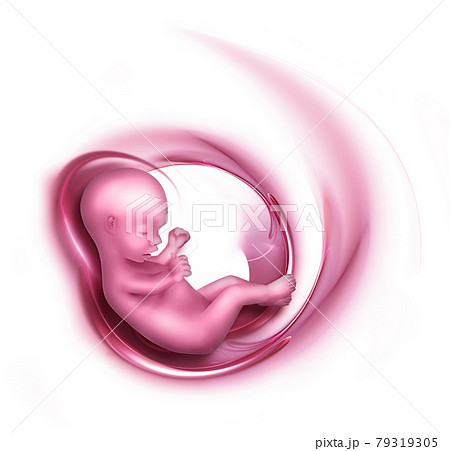 embryo 79319305