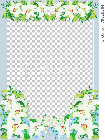 Gorgeous blame background material of classical white lily and blue florets 79319384