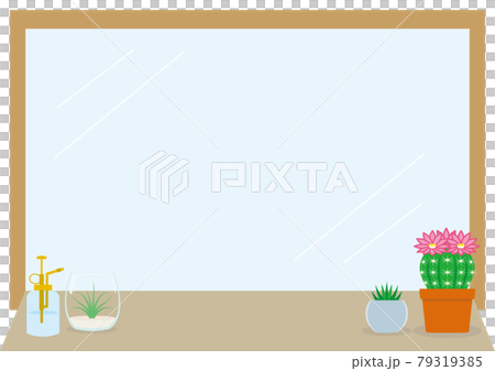 Mirror, window interior green cactus, airplants and spray bottle Mirror, window interior green cactus, airplants and spray bottle 79319385