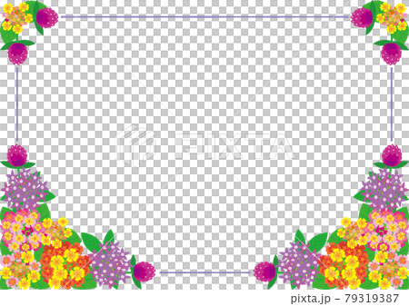 五顏六色的小花角框架背景材料 Lantana、Bubaria、Sennichikou 79319387