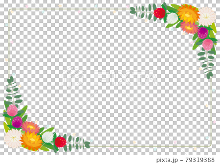 Globe amaranth and Helichrysum flowers, corner frame background material 79319388