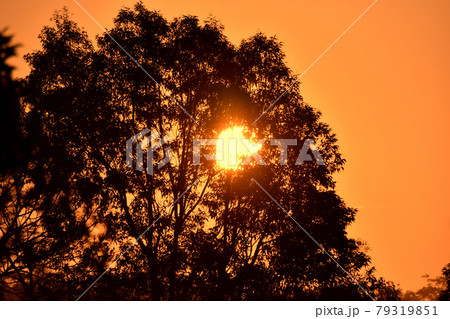 A Summer Sunset A Summer Sunset 79319851