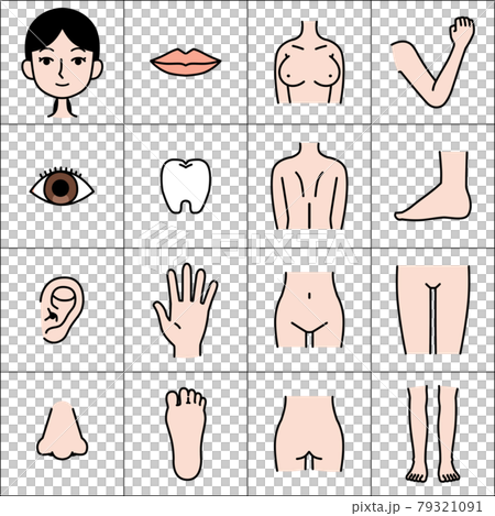 Female body parts illustration material Female body parts illustration material 79321091