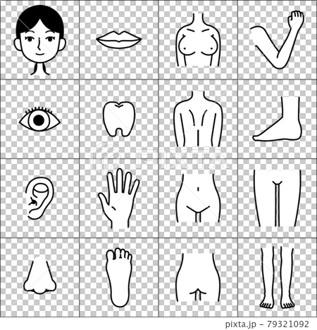 女性の体のパーツ イラスト素材 白黒 女性の体のパーツ イラスト素材 白黒 79321092