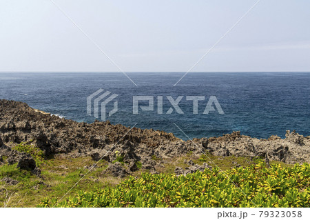 鹿児島県 沖永良部島のフーチャ 鹿児島県 沖永良部島のフーチャ 79323058