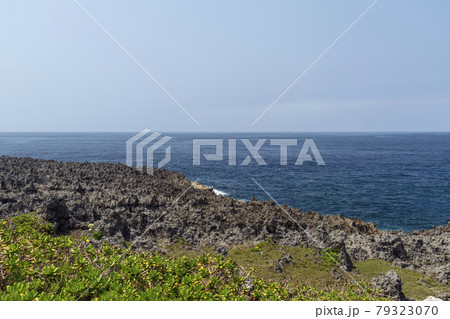 鹿児島県　沖永良部島のフーチャ 79323070