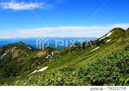 上州武尊山　須原尾根の稜線 79323778