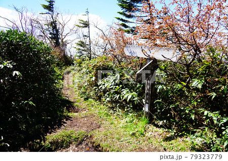 上州武尊山　中ノ岳南の分岐 79323779