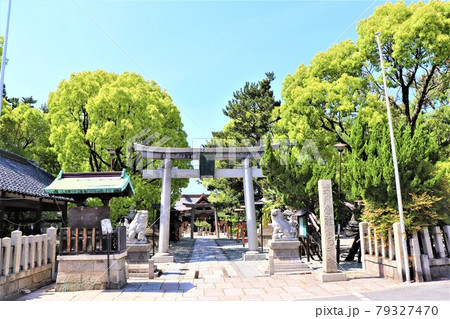 高石神社 高石神社 79327470