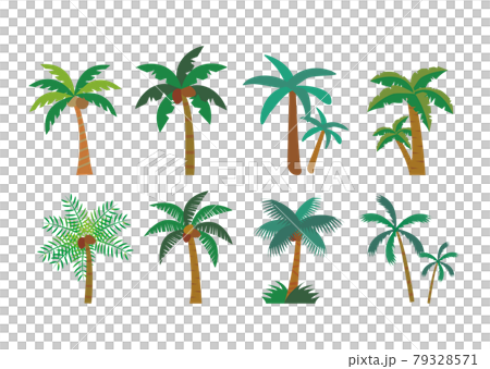 棕櫚樹集 棕櫚樹集 79328571