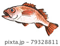 のどぐろ2 79328811