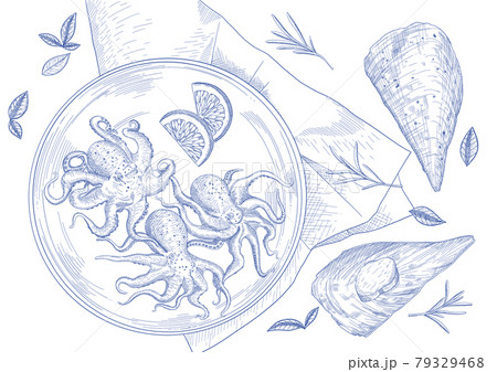 Webfoot Octopus Pen Shell Seafood In Pen のイラスト素材