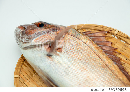 天然真鯛 79329693