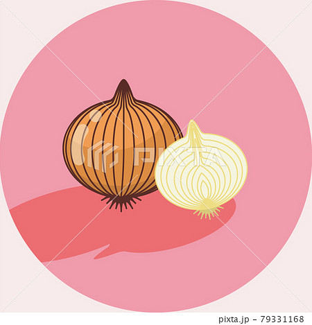 玉ねぎのイラスト 有機野菜ベジタリアン Illustration Of Oninon Organicのイラスト素材
