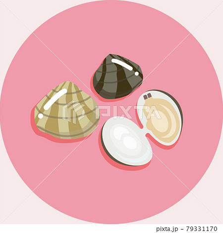 あさりや貝類のイラスト 有機食品 Illustration Of Clam Seashell のイラスト素材