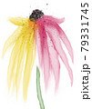 アルコールインクで描く黄色と赤の花 79331745