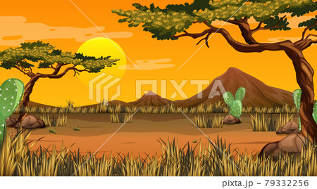 Desert forest landscape at sunset time scene Desert forest landscape at sunset time scene 79332256