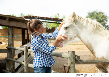 Smiling woman talking to horse 79333707